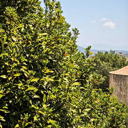 Villa Espacio De Paz, Ideal Familias Amalia La Llacuna